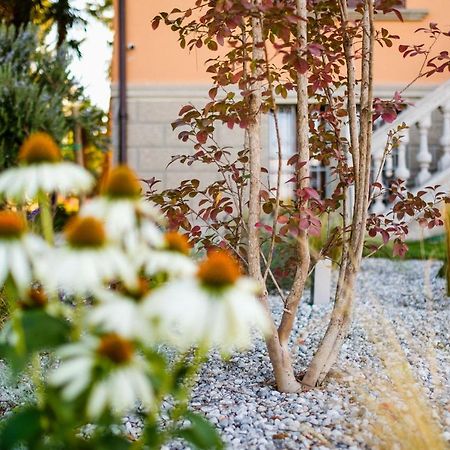 Ca' Delle Contesse - Villa On Lagoon With Private Dock And Spectacular View ヴェネツィア・リド島 エクステリア 写真
